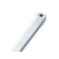 Лампа люминесцентная 18Вт G13 220В 6500K 1050Лм (дневной) OSRAM